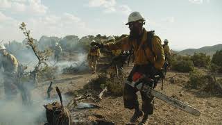 Apply for BLM Wildland Firefighting Positions [upl. by Darren]