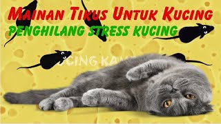 KUCING KAMPOENG  Video Tikus Untuk Kucing Yang Ada Suaranya [upl. by Rehpotirhc850]