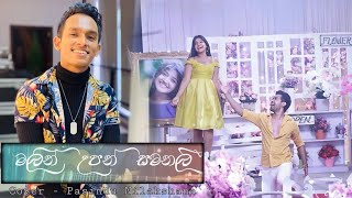 Malen Upan Samanali මලෙන් උපන් සමන්ලී  Cover  Pasindu Nilakshana [upl. by Tima751]