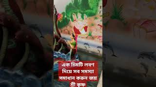 নুন দিয়ে সব সমস্যার সমাধান হবে এই লবণের টোটকা jayshreeram jays youtubeshorts [upl. by Edecrem]