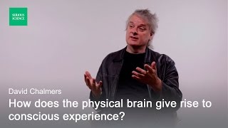 Hard Problem of Consciousness — David Chalmers [upl. by Vrablik]