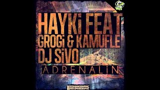 Hayki feat Grogi amp Kamufle  Adrenalin [upl. by Leksehc]