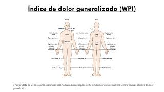 REUMATOLOGÍA 6 Fibromialgia y Polimialgia Reumática [upl. by Dorweiler]