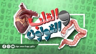 ازاي ده قولون؟  القولون والقلب [upl. by Idnahk151]