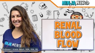 Renal Blood Flow [upl. by Nnitsuj850]