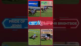 Its BRIGHTSIDE v JENNI again 🍿shorts horse horseracing viral springcarnival [upl. by Repmek]