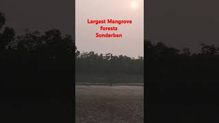 Largest Mangrove forest Sundarban  Travel blog [upl. by Brocklin]