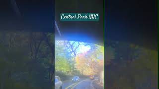 86th Street Transverse in Central Park NYC icclifecoach newyork centralpark [upl. by Yruj]