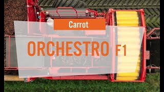 🥕 A new carrot innovation from VilmorinMikado Orchestro F1 [upl. by Acinnod]