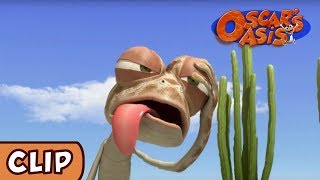 Oscars Oasis  Beach Dream  HQ  Funny Cartoons [upl. by Buck799]