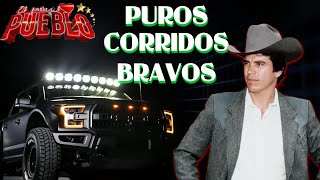 puros corridos bravos💥el rey 👑 del corrido Chalino Sánchez ✴️ [upl. by Loren247]