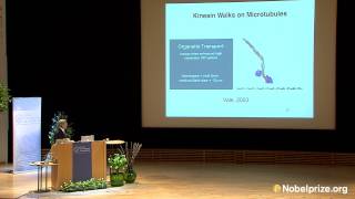 Clip Martin Karplus Nobel Lecture 2013 [upl. by Upshaw]