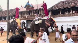 Temple Elephant march 🙏♥️🐘 Jai Shree Ganesh 🙏♥️ elephant videos [upl. by Ybbed669]