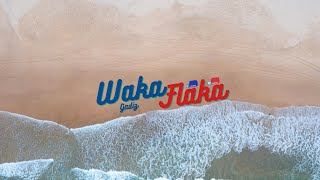 Gadiz  Waka Flaka Official Video [upl. by Almallah]