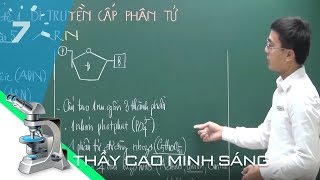 Homogeneous Systems of Linear Equations  Trivial and Nontrivial Solutions Part 1 [upl. by Bahe]