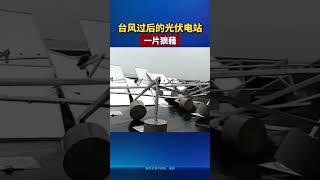 The photovoltaic power station after the typhoon was in a mess PV typhoon PVpowerstation [upl. by Ojillek]