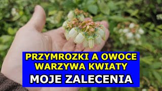 Przymrozki  moje zalecenia dla Owoców Warzyw i Kwiatów Bardzo ważny odcinek Oprysk Agrowłóknina [upl. by Tigram]