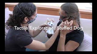 Tactile Exploration Stuffed Dog [upl. by Earej]