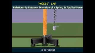 HOOKES LAW [upl. by Fidole895]