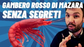 Da dove viene il Gambero Rosso di Mazara [upl. by Sochor]