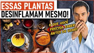 Os 12 Melhores ANTIINFLAMATÓRIOS NATURAIS Fitoterápicos – Ortopedista Explica [upl. by Aikan]