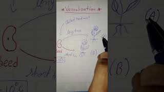 Vernalization biology shorts footlab classes [upl. by Alan6]