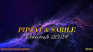 MARSEL MUZIKANTI  PIPZAT amp SARILE  2024  ORKESTRALE POPULLORE sarile [upl. by Atiuqa]