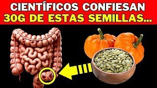 ¿Qué hacen las SEMILLAS DE CALABAZA a tu CUERPO ¡Efectos [upl. by Evot]