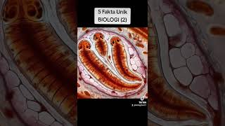 5 Fakta Unik Biologi 2 [upl. by Larimor523]