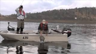 Fish Wild Tasmania  Trout Fishing Tasmania [upl. by Thorlie757]