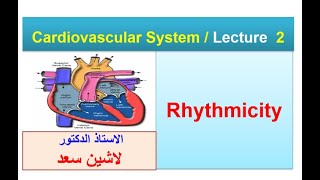 Rhythmicity Lashin Saadدلاشين سعد [upl. by Nhoj162]