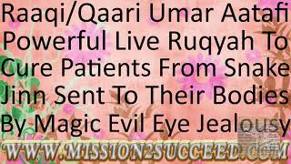 REMOVE EVIL SNAKE JINN IN YOUR BODY FROM BLACK MAGIC EVIL EYE amp JEALOUSY RUQYAH BY RAAQI UMAR AATAFI [upl. by Miguel]