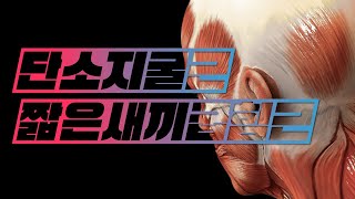 해부학  근육학 손근육hand muscles  짧은새끼굽힘근단소지굴근 flexor digiti minimi brevis [upl. by Slocum]