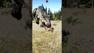 🦖TREX Hunting Small Herbivores in JWE2 jurassicworld jurrasicworldevolution2 jurassicpark trex [upl. by Auohc]