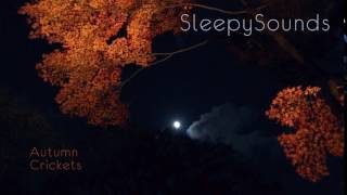 Autumn Crickets  9Hour Sleep Sound  Fall Cricket Song [upl. by Enilrad]