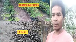 Ruber Nursery Khai Mani  Scrab Faran Mani ahniblog comedyvideos funnyvideos love 🙏 [upl. by Airemahs]