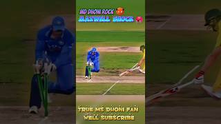 Ms dhoni rock🤘 Maxwell shock 😱 Ms dhoni wicket keeping😈 circket shorts video shortsfeed shorts [upl. by Burger517]