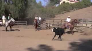 Agua Dulce Horsemanship Clinic Recap [upl. by Madelene]