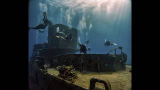 Cozumel Group Trip  November 2024 hosted by Scuba Finatics [upl. by Rambort]