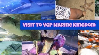 Visit to VGP MARINE KINGDOM [upl. by Pitt]