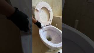 Toilet deep cleaning ASMR cleaning deepcleaningmotivation asmrcleaning cleantok cleaningtips [upl. by Dedric]