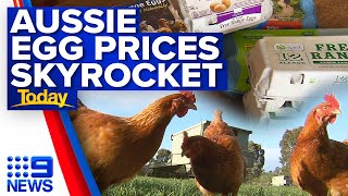 Supermarket shift to send price of Australian eggs soaring  9 News Australia [upl. by Ronica628]