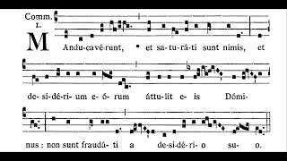 Quinquagesima Communion ManducaveÌrunt solfeggio [upl. by Tereb]