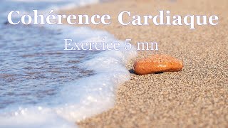 Coherence cardiaque exercices 5 minutes [upl. by Burl]