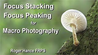 Focus Stacking and Focus Peaking for Macro Photography using the OM1 and the 90mm Macro lens [upl. by Shuma779]