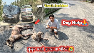 Ghar Jada Bato ma Yasto Halata ma Kukura Vetyeyo😥Respect All Animals 🫡Sajilovlogs [upl. by Bixler]