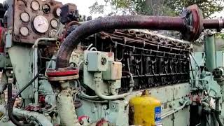 Yanmar S 185 L  ST Generator Set Testing [upl. by Adnarrim]