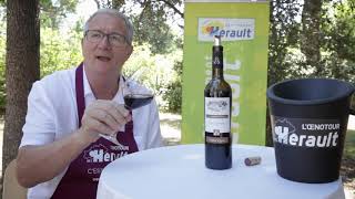 Les vins de lHérault  Vieilles Vignes [upl. by Schreib235]