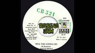 Risto Benji  Wha you Gonna Do  CB 321  1995 [upl. by Akinert]