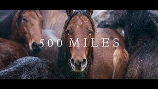 500 Miles  The Story of Ranchers and Horses 2017 [upl. by Berghoff]